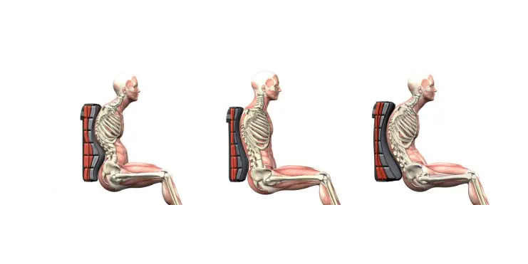 Trzy boczne ilustracje anatomiczne osoby siedzącej z widocznym szkieletem i mięśniami przy oparciu z czerwoną poduszką lędźwiową, pokazujące kolejno wyprostowaną prawidłową postawę, neutralne ustawienie kręgosłupa i pochyloną pozycję z zaokrąglonymi plecami.
