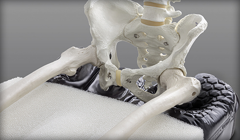 Model miednicy szkieletu oparty na piankowo‑powietrznej poduszce przeciwodleżynowej